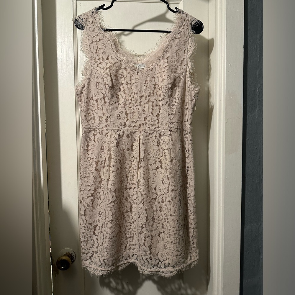 JOIE Lace Dress Nude color and stretchy lining.  Dress Size Large